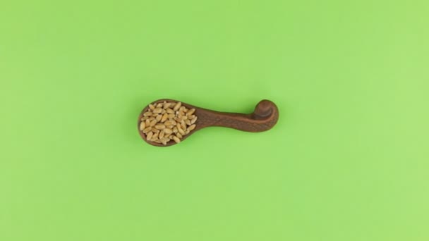 Zoom de cuchara de barro con grano de trigo. Tecla de croma, pantalla verde . — Vídeo de stock