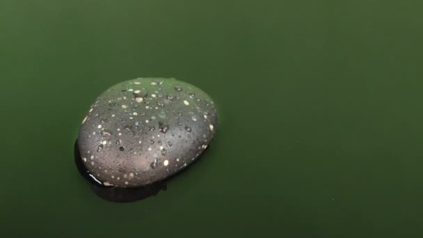 녹색 물과 검은 돌에 떨어지는 물 한 방울의 접근. — 비디오