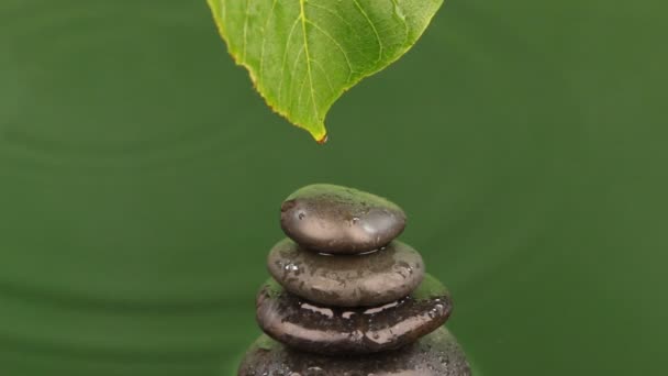 Dropping drops of water from a green leaf on a pyramid made of black stones. — Stock Video