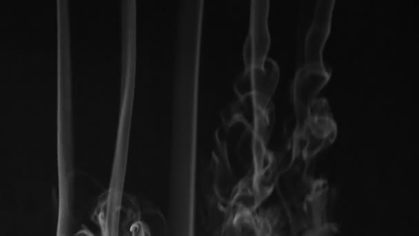 Fünf Zeilen weißer Rauch auf schwarzem Hintergrund. schön. — Stockvideo