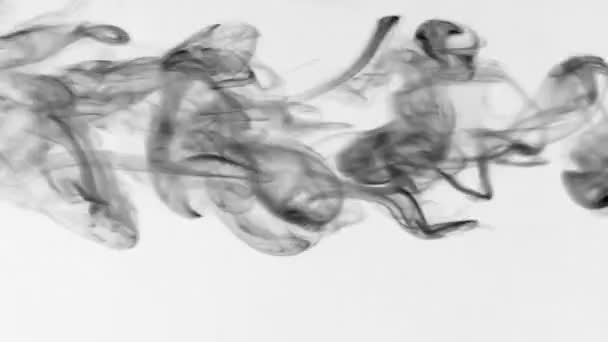 Clubs de fumée noire pulsant sur un fond blanc. Magnifiquement. . — Video