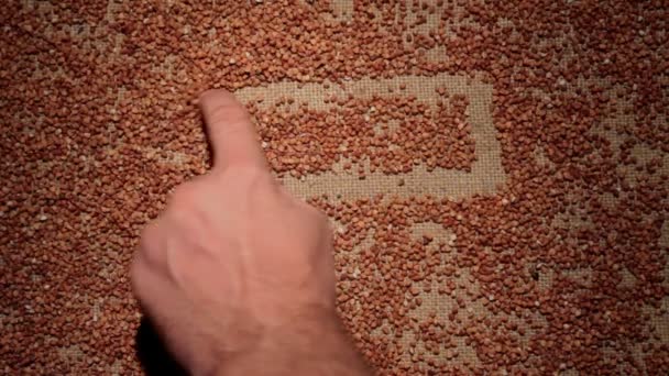 Mens hand cleans buckwheat grains makes a frame of grains on burlap. — Stock Video