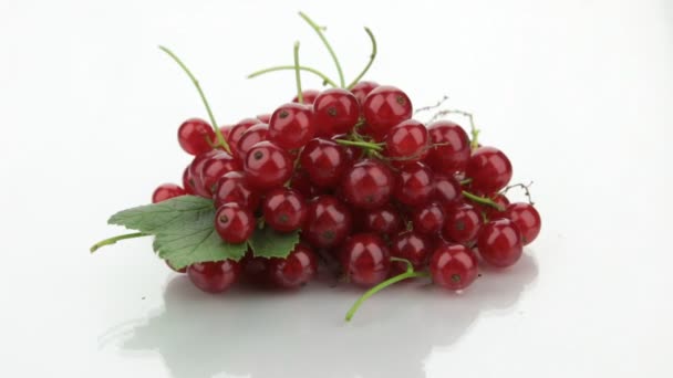 Approaching a pile of red currants on a white background. — Stock Video