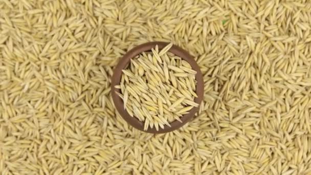 Mendekati panci dengan oat berdiri di atas tumpukan gandum . — Stok Video