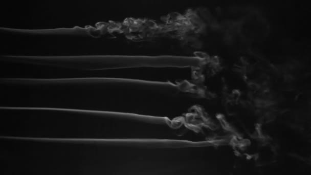 Cinco líneas de humo blanco sobre un fondo negro. Bellamente la línea de humo — Vídeos de Stock