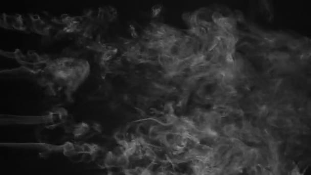 Fünf Zeilen weißer Rauch auf schwarzem Hintergrund. schön die Rauchschwaden — Stockvideo