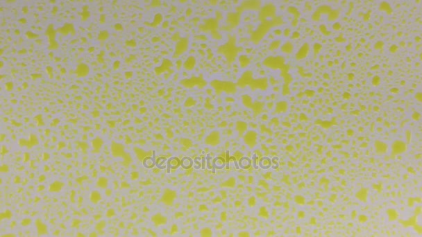 Zooma droppar av gul färg på vit bakgrund. — Stockvideo