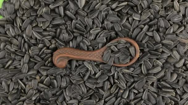 Rotación de una cuchara de arcilla con girasol acostado en un montón de granos de girasol. Comida . — Vídeos de Stock
