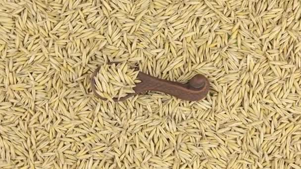 Rotation d'une cuillère en argile avec de l'avoine couchée sur un tas de grains d'avoine. Produits alimentaires . — Video