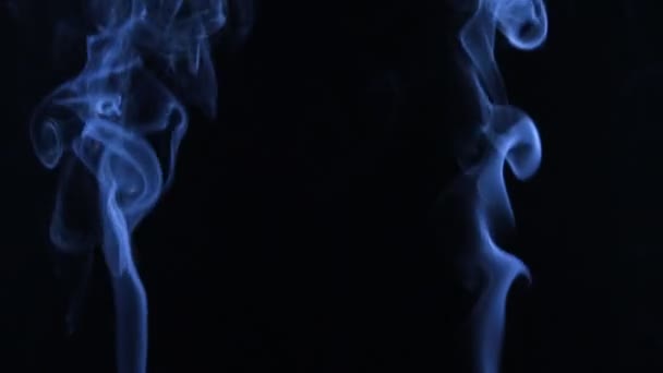 Zwei Ströme blauen Rauchs, die sich in Rauchschwaden auf schwarzem Hintergrund verwandeln. — Stockvideo