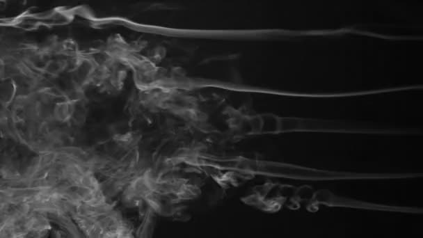 Five stream of white smoke turning into smoke puffs on a black background. — Stock Video