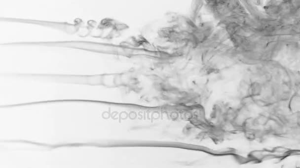 Five stream of black smoke turning into smoke puffs on a white background. — Stock Video