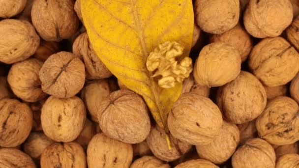 Close-up. Rotation of walnuts with leaves. — Stock Video