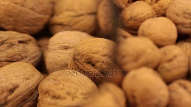 Detail pod lupou. Rotace vlašských ořechů. — Stock video