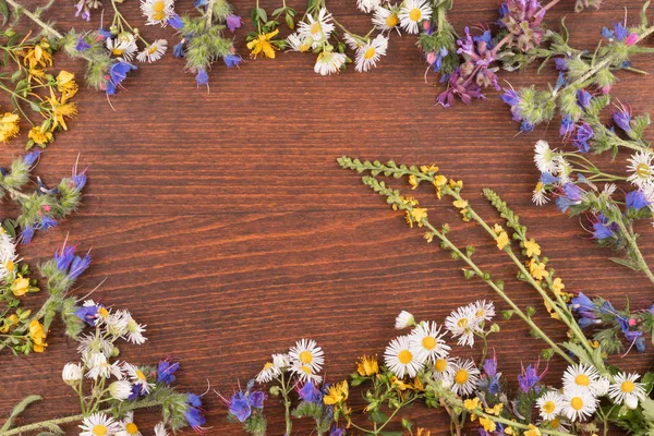 Frame van wilde bloemen op een donkere houten achtergrond. Stockfoto