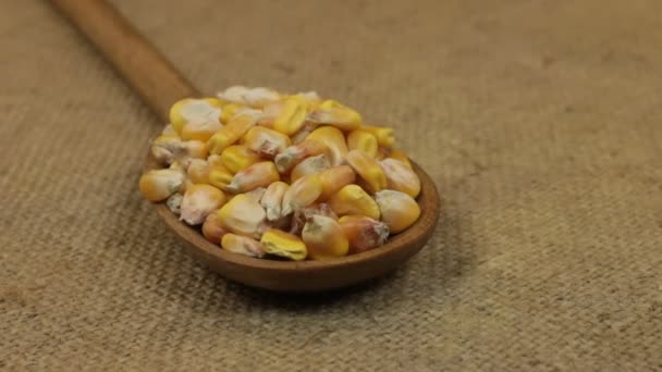 Detail, lžíce rotace s hromadou zrn kukuřice ležící na pytlovina. — Stock video