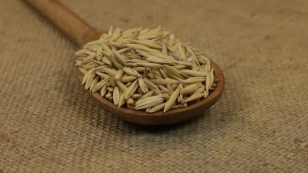 Close-up, spoon rotation with a pile of oat grains lying on burlap. — Stock Video