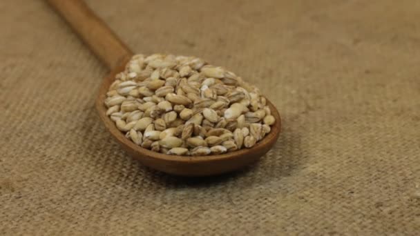 Close-up, spoon rotation with a pile of pearl barley grains lying on burlap. — Stock Video