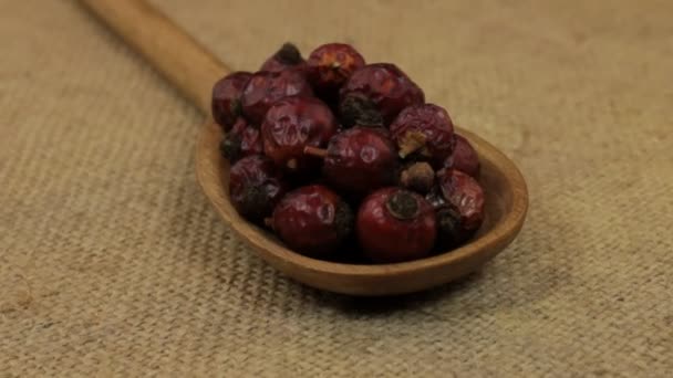 Close-up, spoon rotation with a pile of dry rosehip berrys lying on burlap. — Stock Video