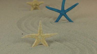 Kum zigzag üzerinde duran üç deniz yıldızı yaklaşıyor. Dolly vurdu.