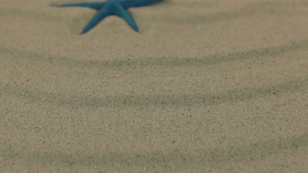 Approximation the blue starfish lying on the sand dunes. Dolly shot. — Stock Video