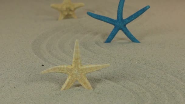 Aproximando-se das três estrelas do mar em pé no ziguezague de areia. Dolly atirou . — Vídeo de Stock