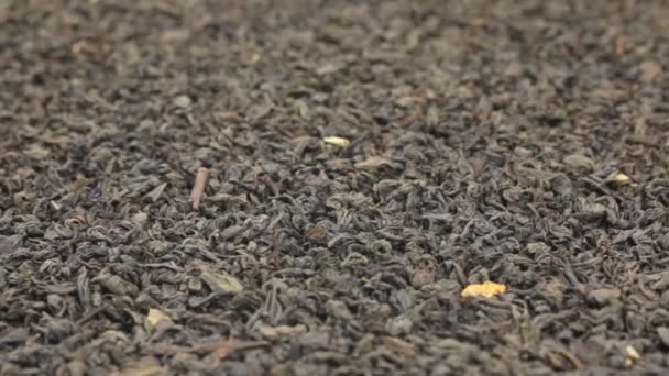 Rotatie van de achtergrond van hele droge bladeren van zwarte thee. Close-up — Stockvideo