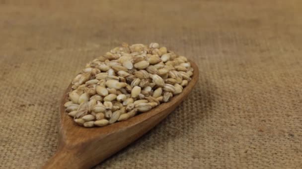 Primer plano, rotación cuchara con una pila de granos de cebada perla acostado en la arpillera . — Vídeo de stock