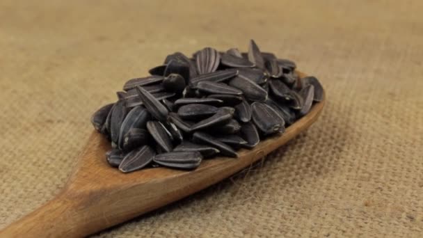 Detail, lžíce rotace s hromadou slunečnicových semen, ležící na pytlovina. — Stock video