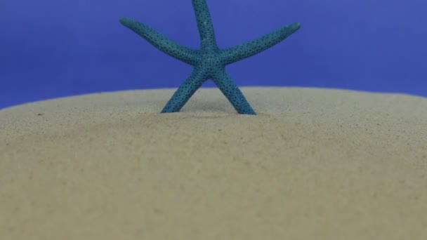 Aproximación de estrellas de mar, acostadas en la arena. Dolly disparó. Aislado — Vídeo de stock