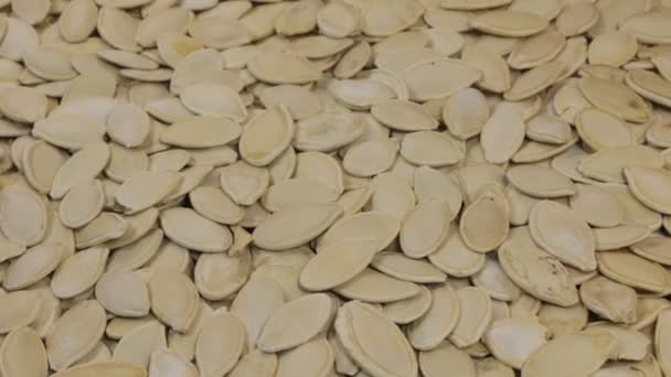 Rotation, background made from a pile of whole pumpkin seeds. — Stock Video