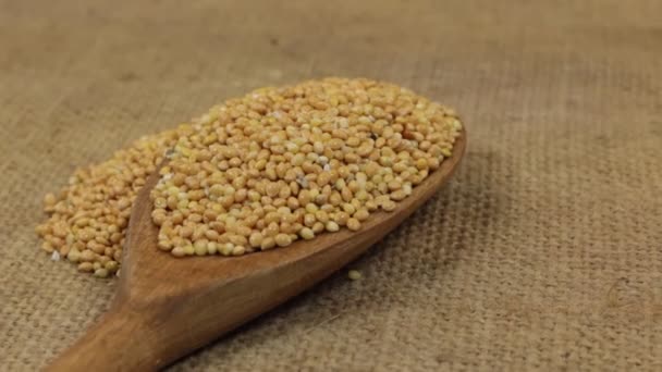 Rotation, heaps of millet grains, falling from a wooden spoon on burlap. — Stock Video