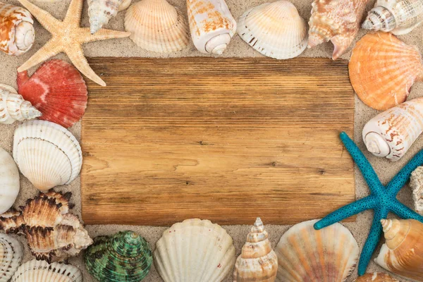 Marco vacío de madera clara, conchas marinas y estrellas de mar en la arena. Con espacio para tu texto . — Foto de Stock