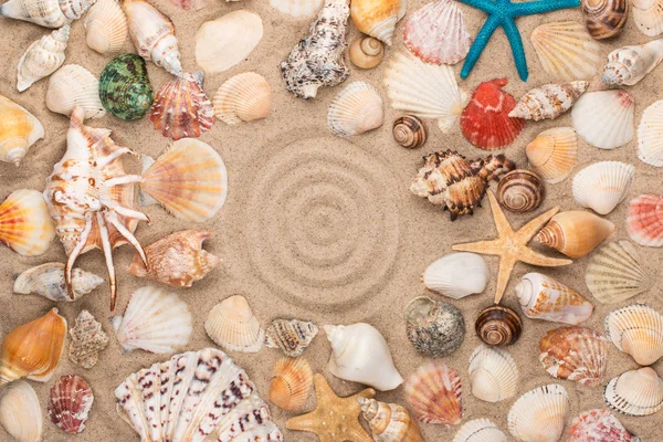 Circle made of sand, frame of seashells and stars. With space for the designer. — Stock Photo, Image