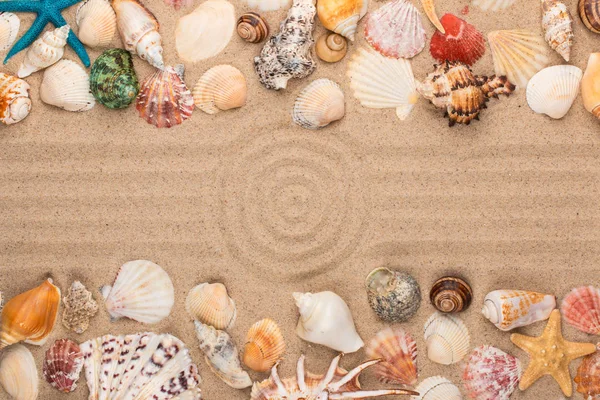 Cercle en sable, cadre de coquillages et étoiles. Avec de l'espace pour le designer . — Photo