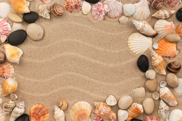 Frame made of sea shells and stones lying on dunes. — Stock Photo, Image