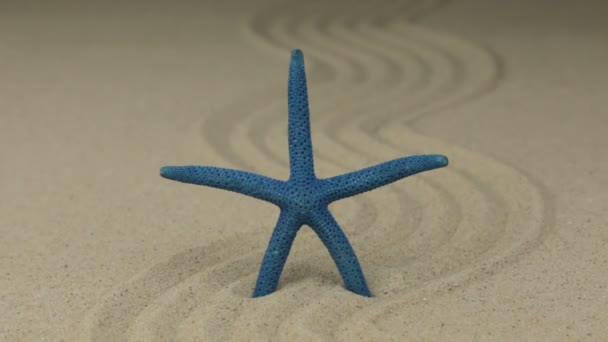 Zoom de una hermosa estrella de mar acostada en un zigzag hecho de arena . — Vídeo de stock