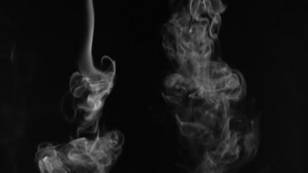 Hermosos giros de humo blanco sobre un fondo negro . — Vídeos de Stock