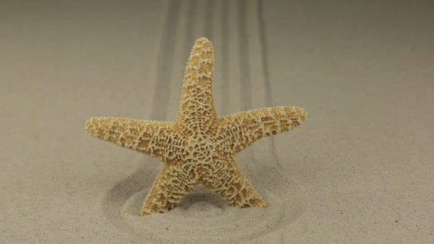 Aproxima. Starfish fica no centro de um círculo feito de areia . — Vídeo de Stock