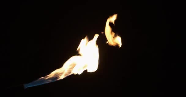 Intenzivní plynový plamen plynového hořáku. Hladké zvýšení a snížení jednoho proudu plamene. — Stock video