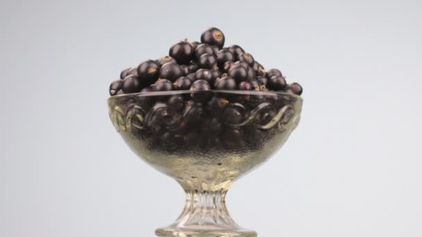 Szklany wazon obrotowy z kupą dojrzałych, soczystych czarnych porzeczek. — Wideo stockowe