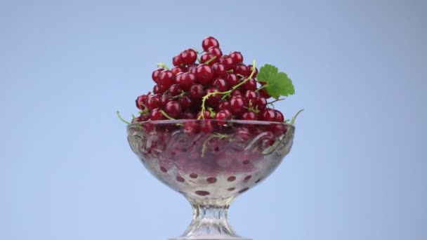 Vaso di vetro rotante con una pila di ribes rosso maturo e succoso . — Video Stock