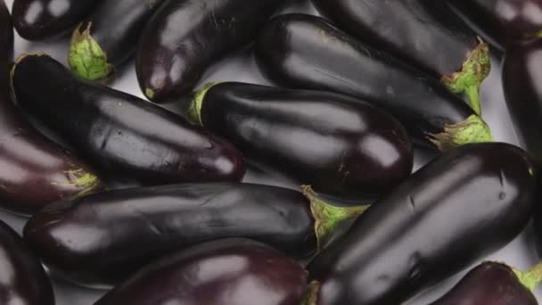 Rotatie, een hoop rijpe aubergine. Textuur van aubergines. — Stockvideo