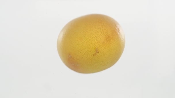 Langzame beweging. Grapefruit die in het water valt en onder water drijft. — Stockvideo