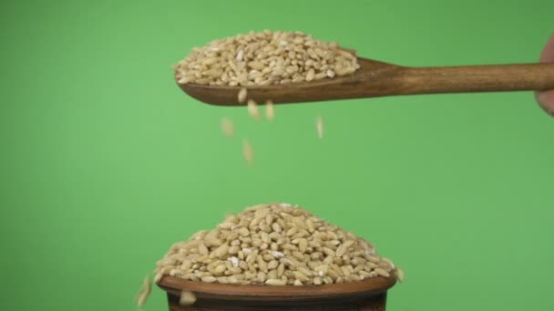 Mociones lentas. Perla granos de cebada dormir lo suficiente de una cuchara de madera en un montón de semillas en un tazón de barro . — Vídeos de Stock