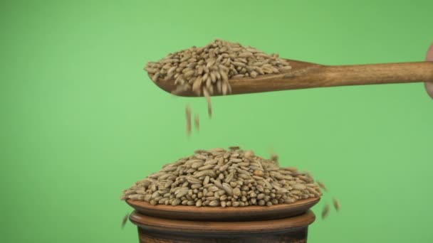 Pomalé pohyby. Žitná zrnka se dostatečně vyspí z dřevěné lžíce na hromadě semínek v hliněné misce. — Stock video