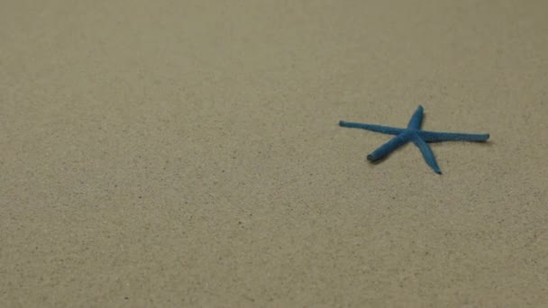 Blue starfish on a sand background. Slider shot. — Stock Video