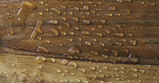 Wind blows off water droplets from a wooden surface. The wind blows water droplets from left to right. — Stock Video