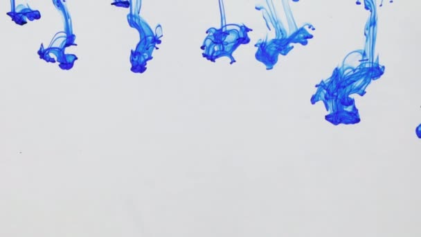 Mooie druppels verf op een witte achtergrond. Abstracte inktbeweging onder water. — Stockvideo