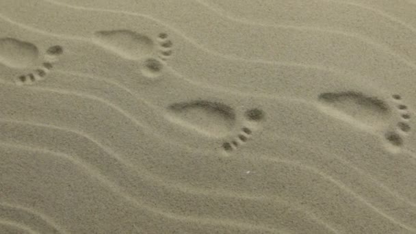 パノラマ。様式化された人間の足跡。人間の足跡の刻印 — ストック動画
